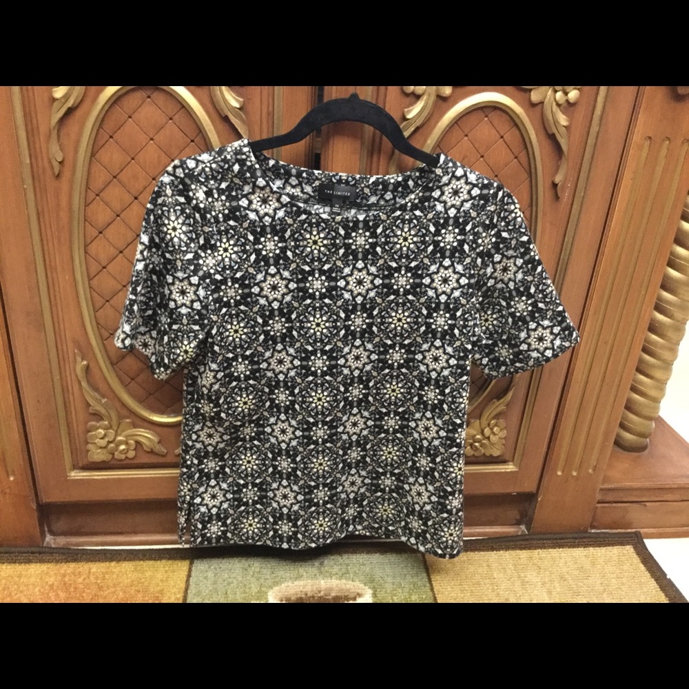 The Limited top. Wore 1 time. No flaws